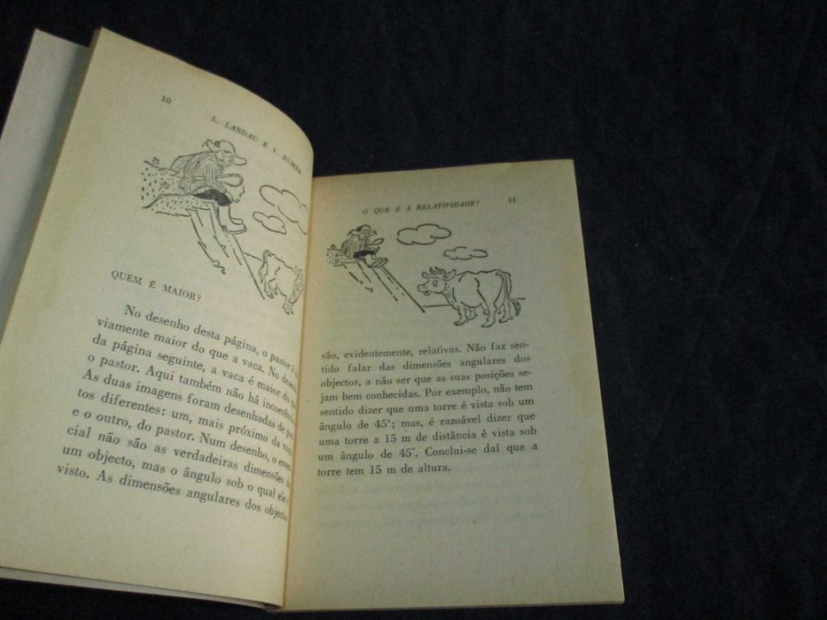 Livro O que é a Relatividade? O Livro de Bolso