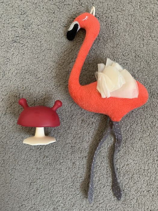 Grzybek mombella gryzak