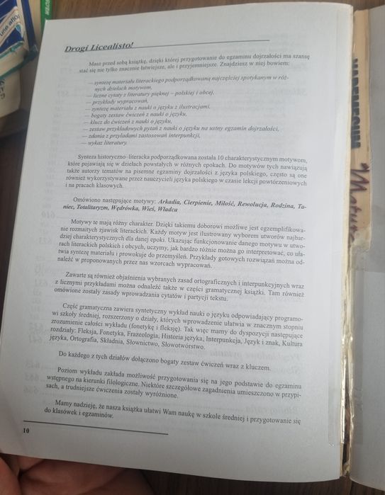 Vademecum maturzysty język polski