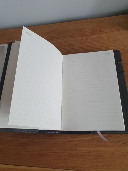 Notatnik ze skóry smoka