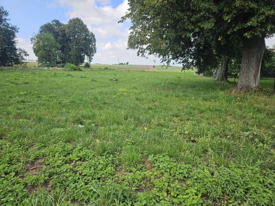 Działka rolno-budowlana