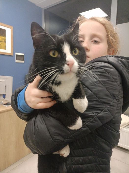 Paczusia - roczna kotka do adopcji !