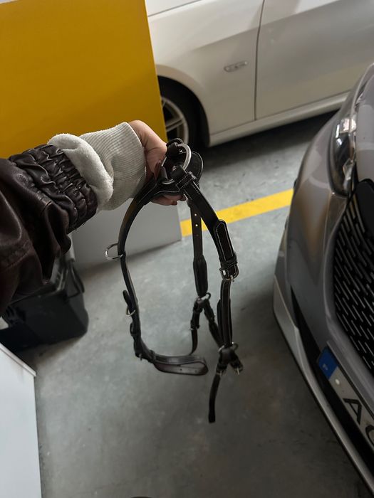 Peitoral jump’in wednesday