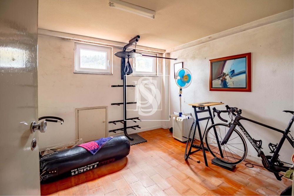 T3 no Centro de Lamego