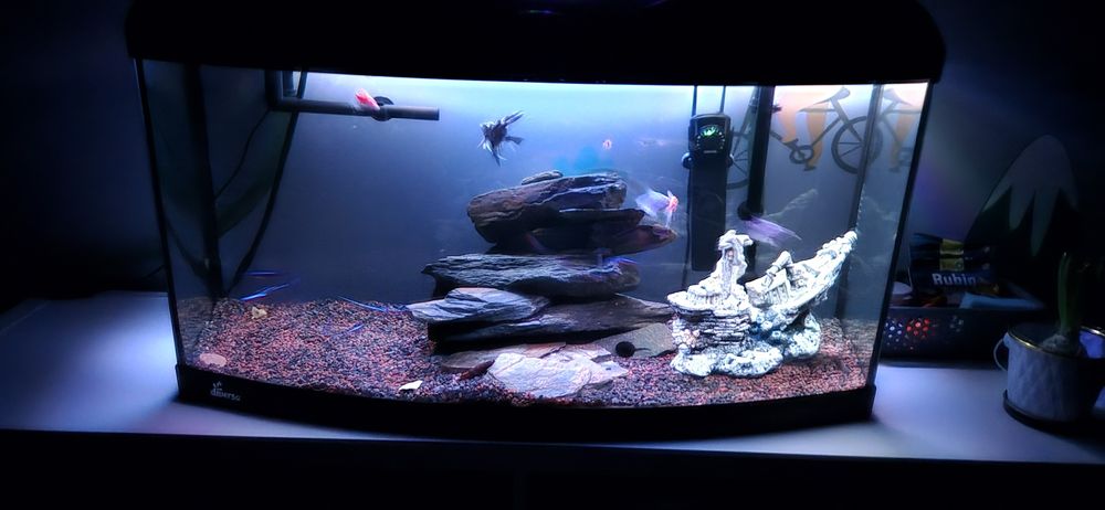 Zestaw akwarium 112l z rybkami i osprzętem