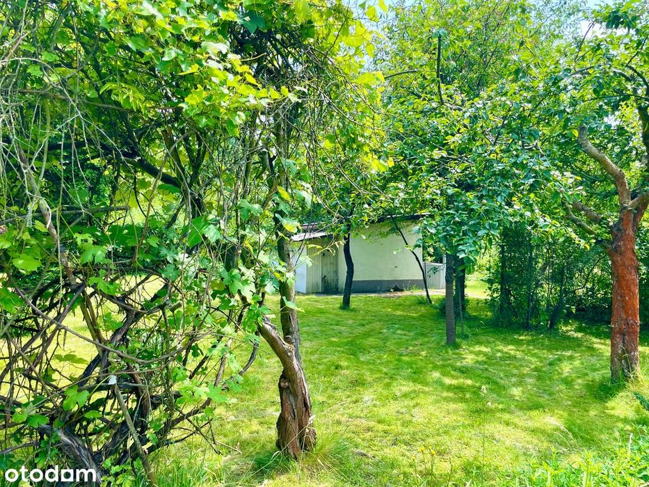 Sprzedam działkę ROD "Małe Błonia" - Widok 3