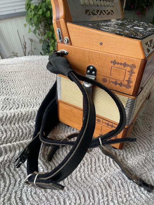 Vendo concertina da Famosa marca Pedrosini