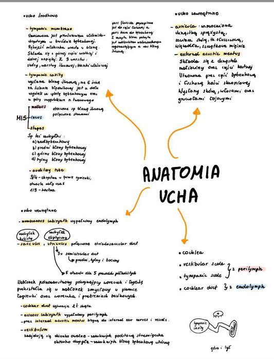 Fizjologia - notatki do egzaminu (medycyna)