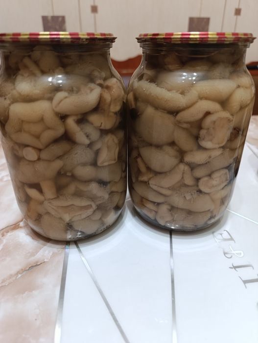 Маслюки мариновані
