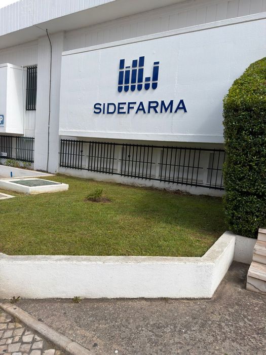 Serviço de minutemcao de jardim