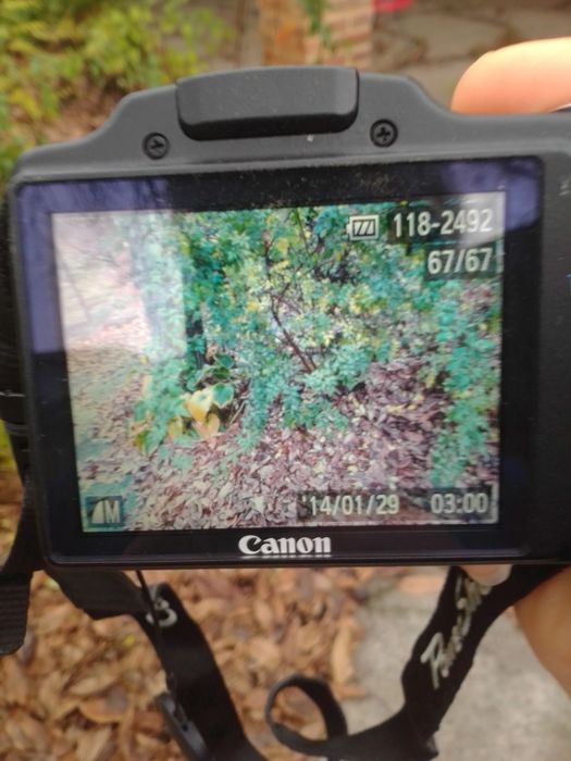 Цифровой фотоаппарат Canon. Power shot SX 510 HS.