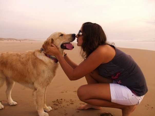 Pet Sitting em Estadia Familiar para animais domésticos Amadora