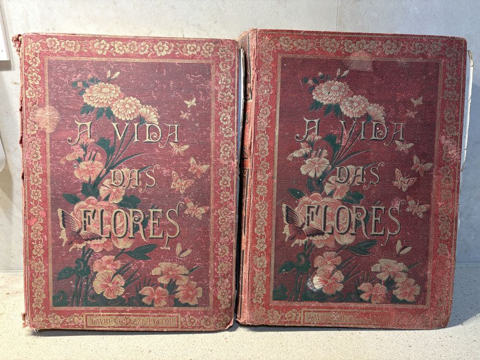 Conjunto de 2 antigos Livros “A vida das Flores” de 1883 - David Corazzi Editor Lisboa