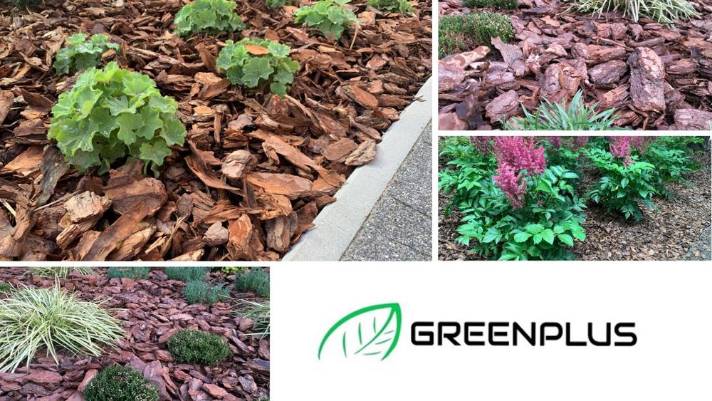 Kora sosnowa workowana dekoracyjna wysoka jakość