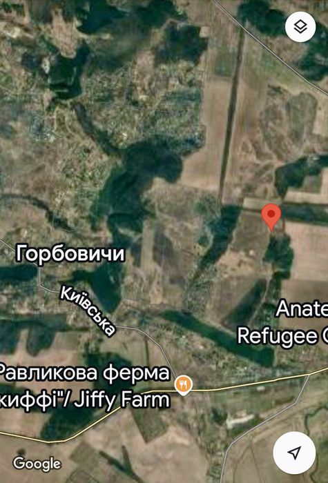 Горбовичі , ділянка межує з лісом