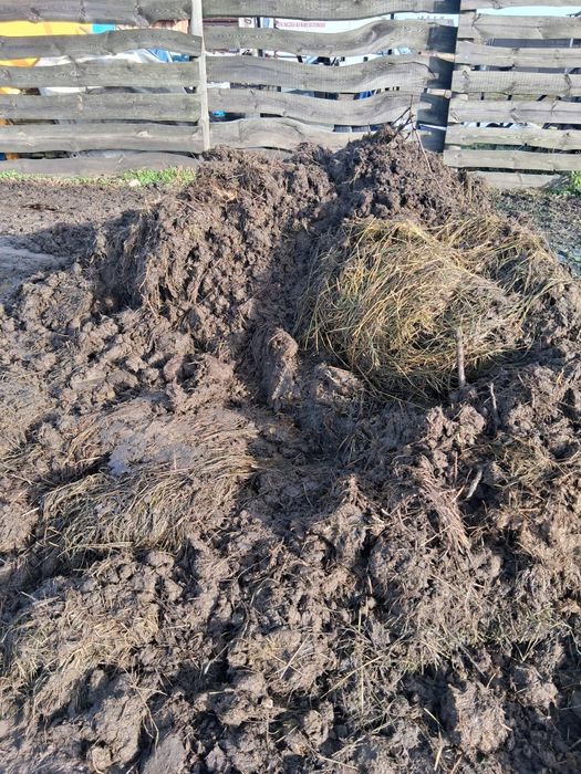 Obornik koński i bydlęcy z dowozem