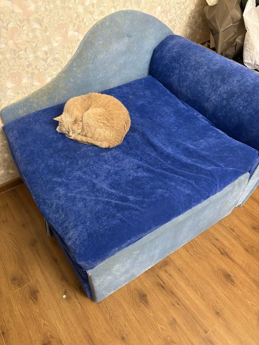 Диван дитячий розкладний гном