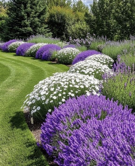 Автополив, Газон, Ландшафтний дизайн, Озеленення