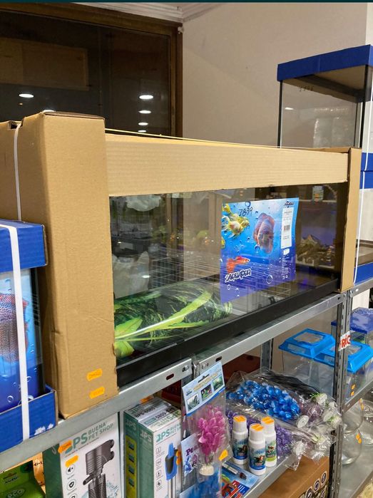 Aquário 1 Metro ( Loja especializada )