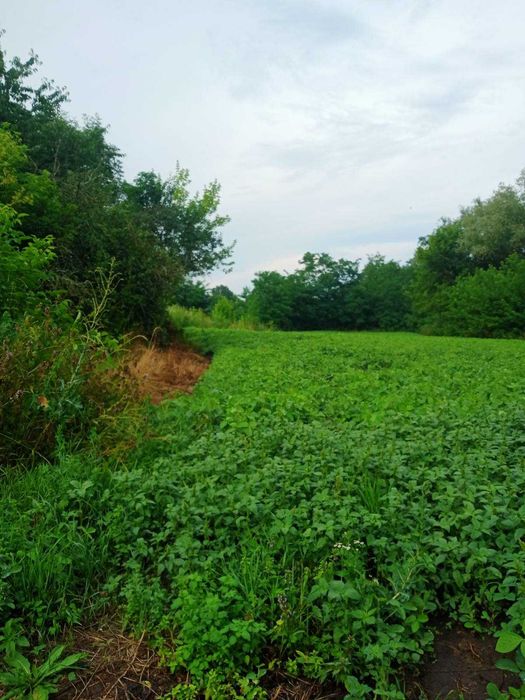 Продам земельну ділянку!!!