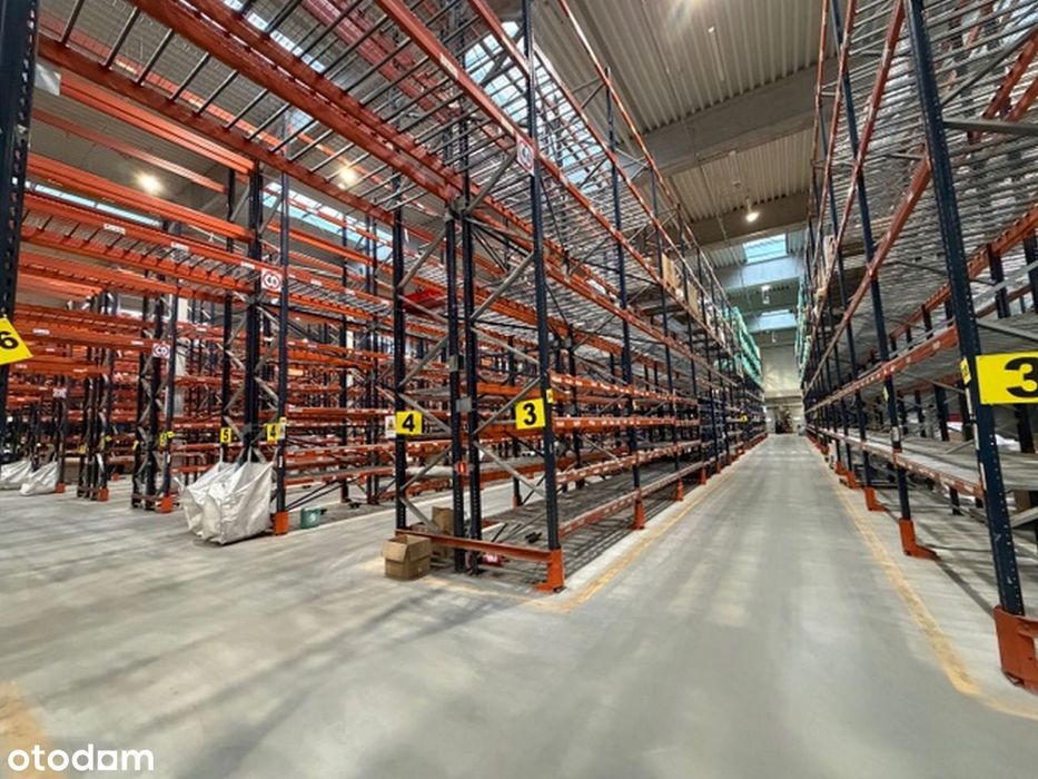 Gotowa Baza Dla Firmy Hala Magazynowa + Biura + Zaplecze Socjalne