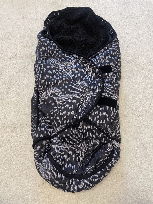 Spiwor spiworek Lodger zimowy 6 miesiecy 3 lata