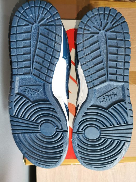 Buty Nike dunk low Valerian Blue 46