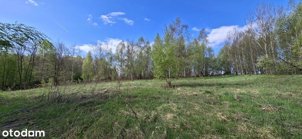 Działka budowlana 2800 m², WZ, możliwość podziału na 2działki