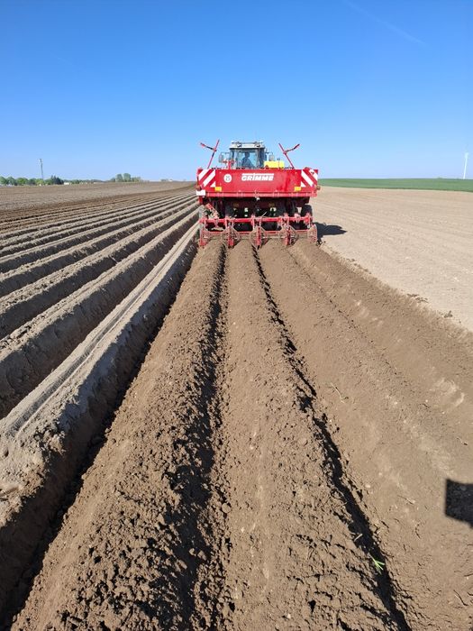 Oferujemy usługi sadzenia ziemniaków grimme gl 430
