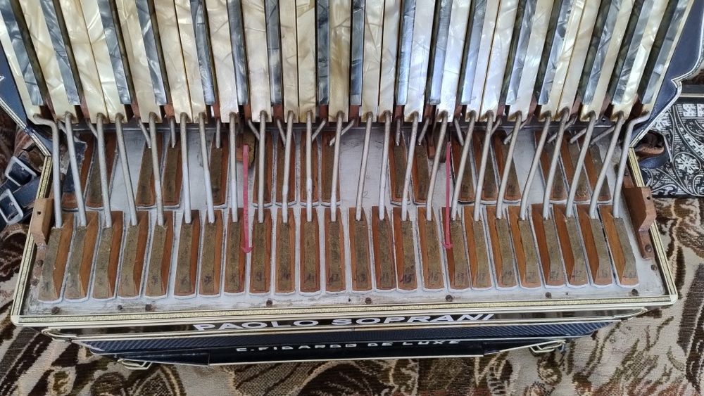 Akordeon PAOLO SOPRANI 120b