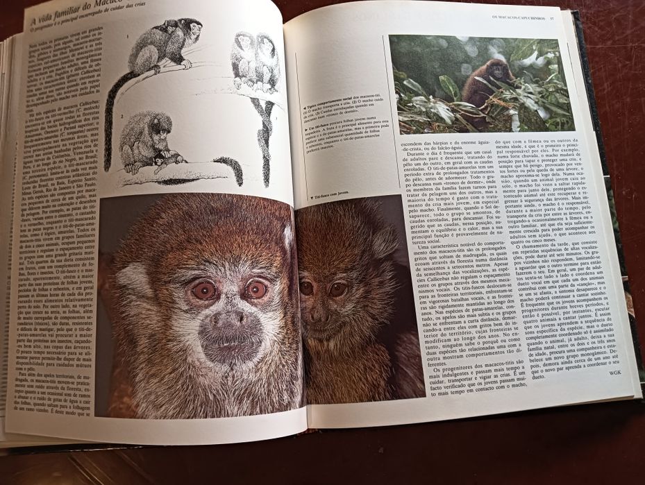 Primatas;	Coleção Animais de todo o Mundo do Circulo de Leitores.*