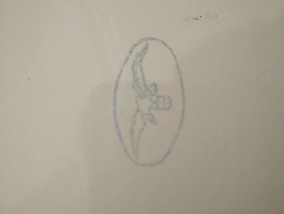 Tacho em esmalte da fábrica a Águia