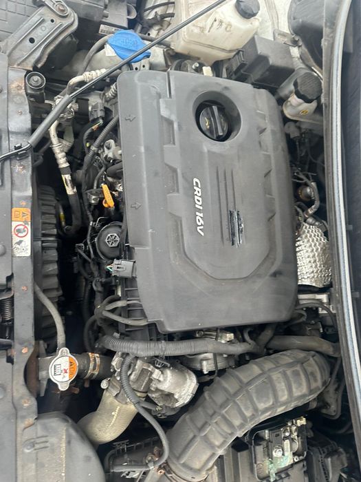 Kia Ceed silnik 1.6 CRDI 2016r,Anglik