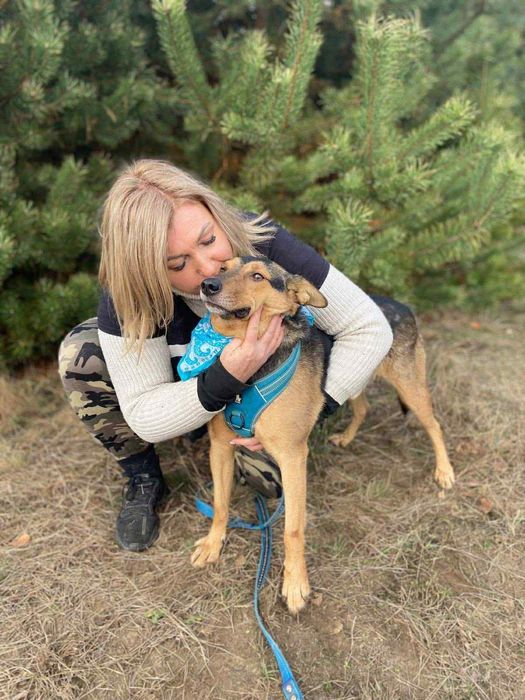 Pan Wisienka marzy o rodzinie.