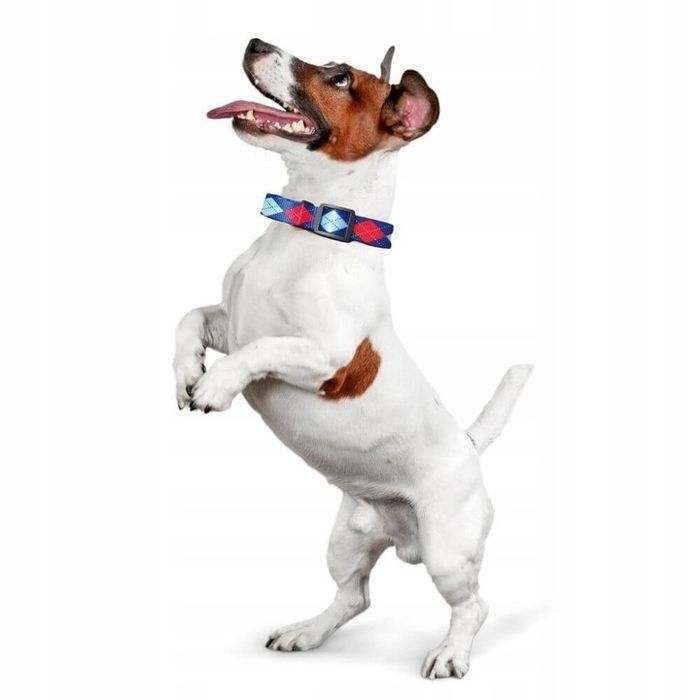 Obroża Materiałowa dla Małego Psa Piesków Szczeniaka Suczki Niebieska