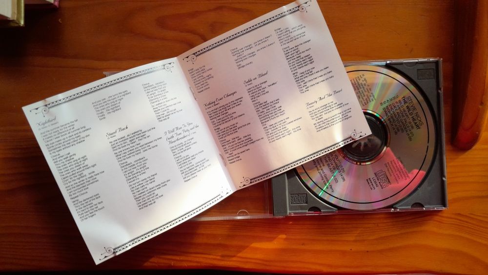 Stevie Nicks - The Wild Heart