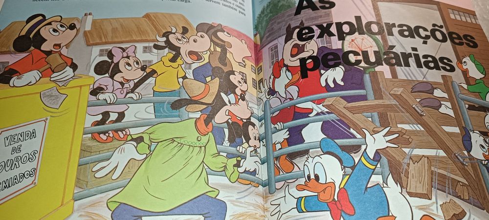 Raro livro Walt Disney de 1983 tiragem de 15000 exemplares