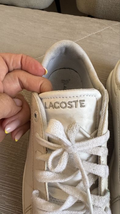 Sapatilha lacoste criança venda