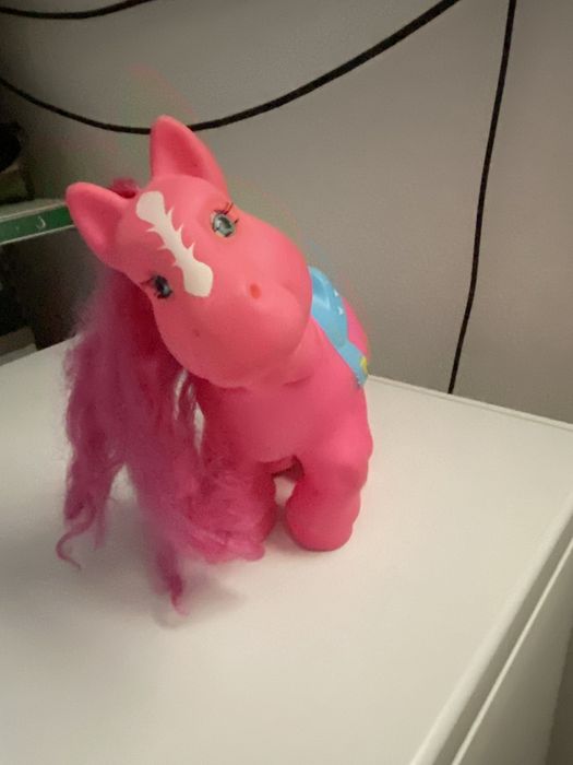 Poneis e um cavalo