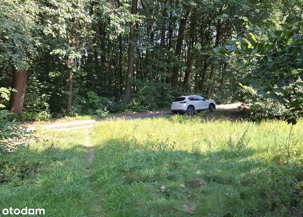 Zdjęcie 2