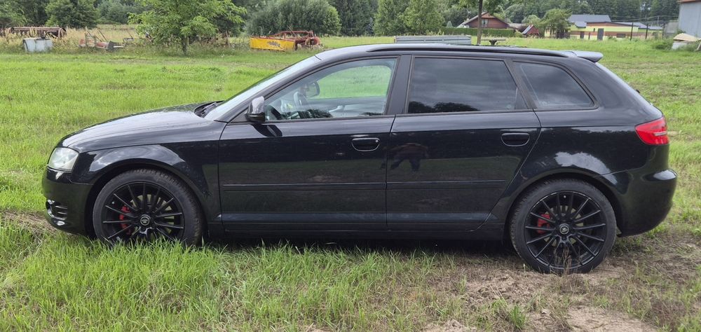 Audi A3 8P 2.0Tdi Quattro