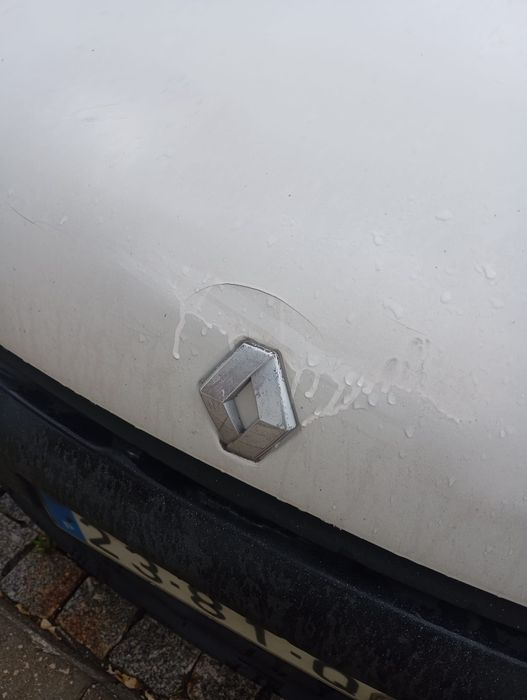 Renault kangoo 1.9