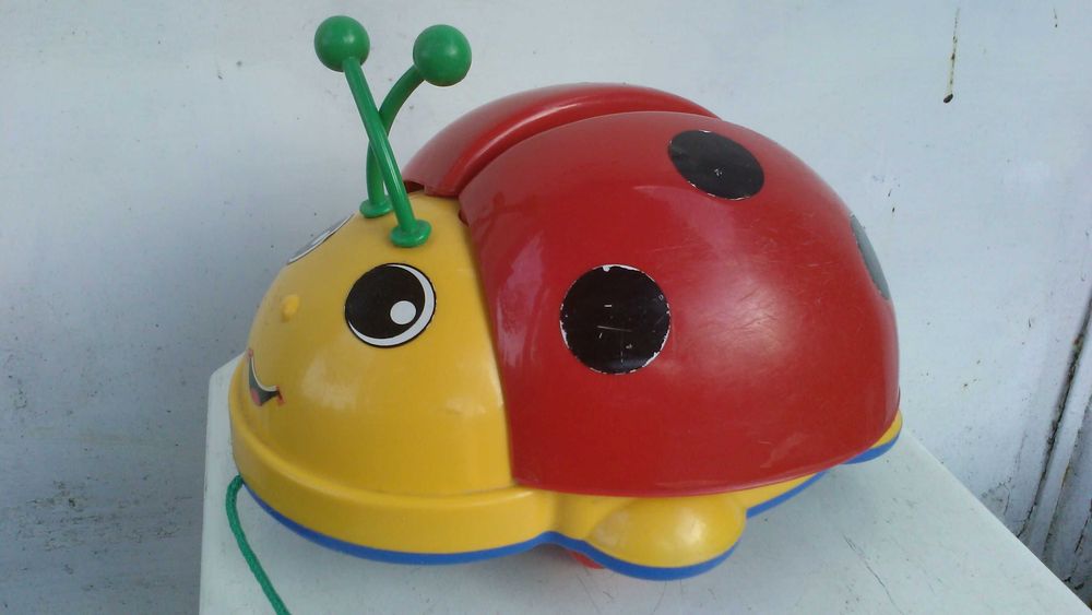 Joaninha com rodas