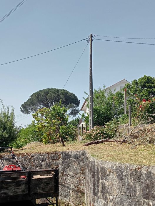 Construção e Manutenção de Jardins