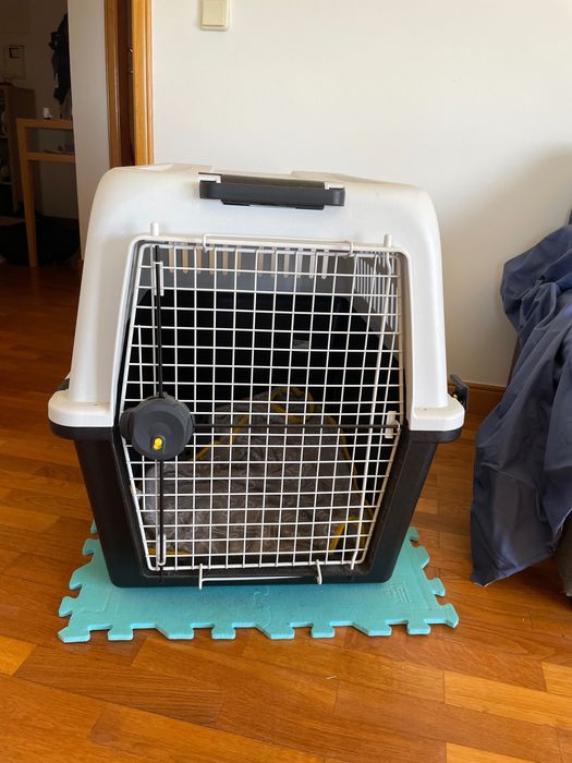 Transportadora para cão