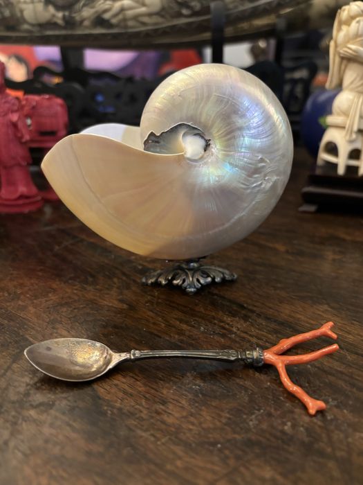 Açurareiro nautilus com colher prata e coral vermelho