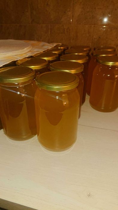 Miód z pasieki Miśka