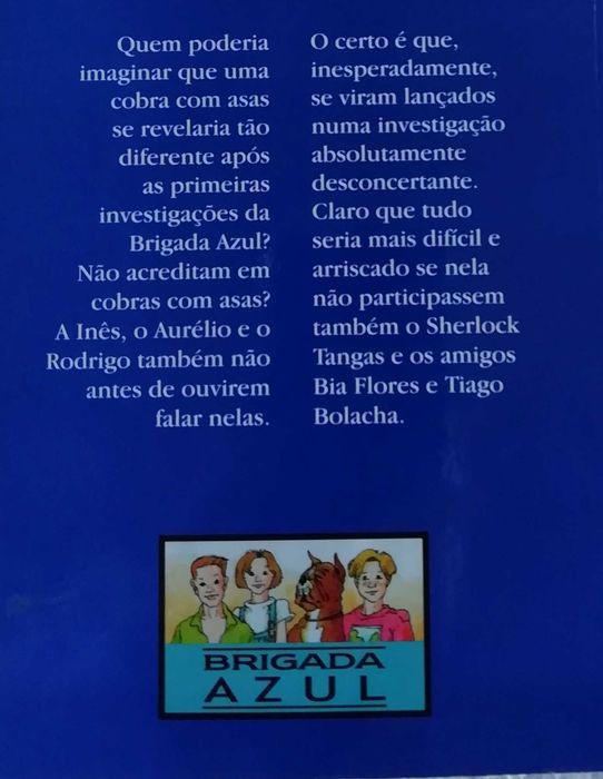 Livro Juvenil O Caso da Cobra com Asas – Garcia Barreto
