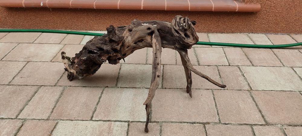 Korzeń do akwarium