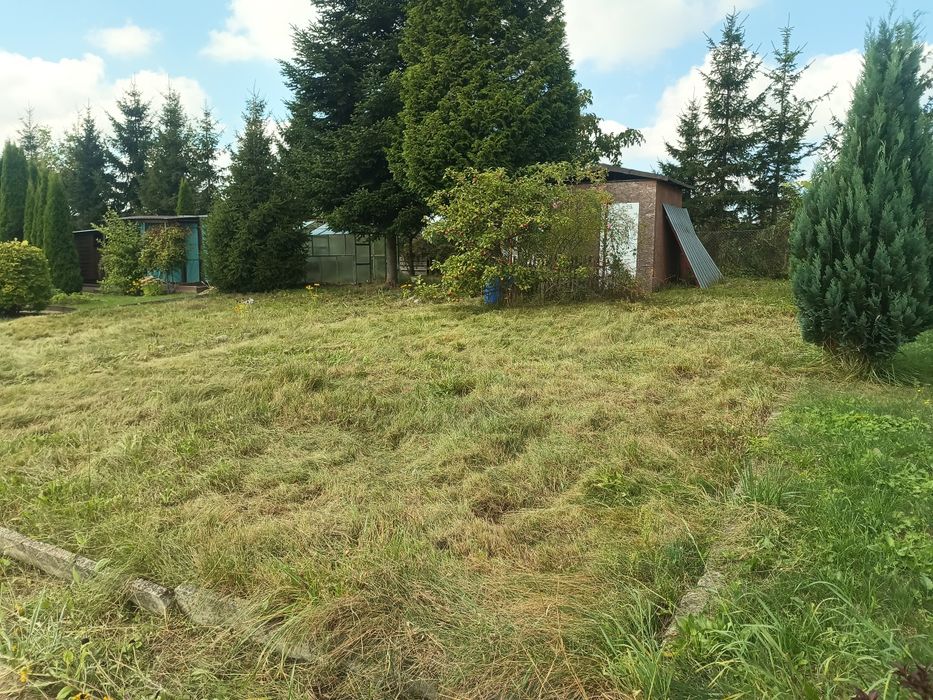 Działka ROD Bratek 309m Starogard Gdański
